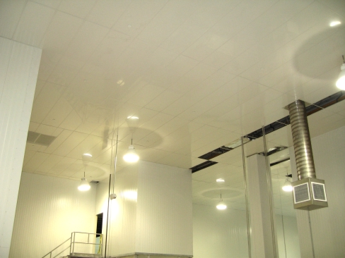 Suspended Ceiling Panels