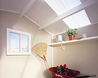 Shed-Interior-