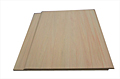 P1500-Panel
